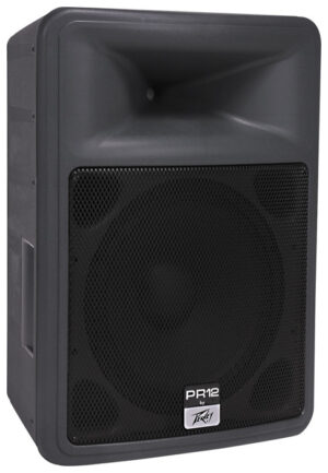 Ремонт PEAVEY PR 12