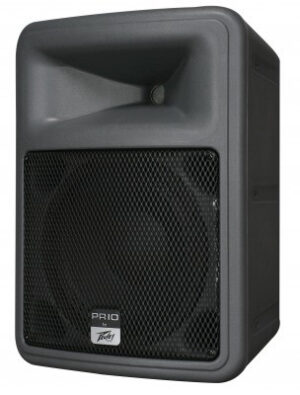 Ремонт PEAVEY PR 10