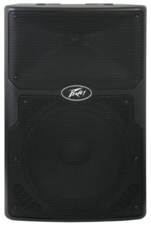 Ремонт PEAVEY PVXp 15