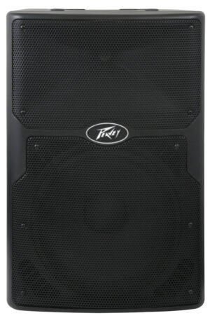 Ремонт PEAVEY PVXp 12