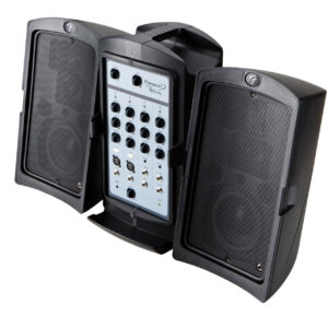 Ремонт Fender PASSPORT 150 PRO