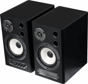 Ремонт Behringer MS40