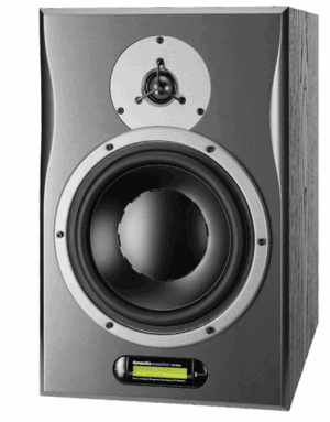 Ремонт Dynaudio AIR15 Slave