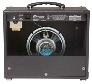 Ремонт PEAVEY TransTube Rage 258