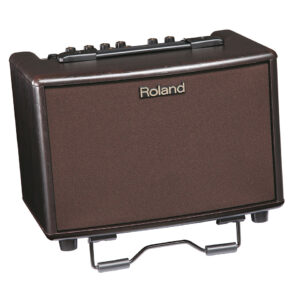 Ремонт ROLAND AC-33-RW