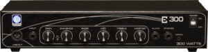 Ремонт EDEN E300 BASS HEAD