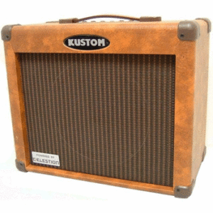 Ремонт KUSTOM SIENNA30