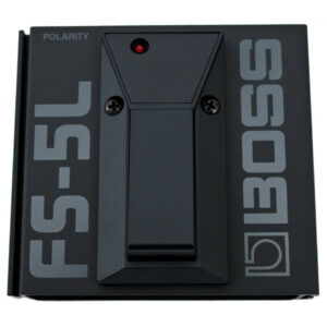 Ремонт BOSS FS-5L