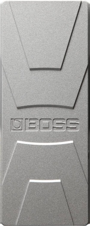 Ремонт BOSS FV-30H