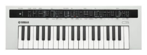 Ремонт YAMAHA REFACE CS