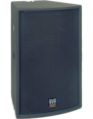 Ремонт MARTIN AUDIO WT2