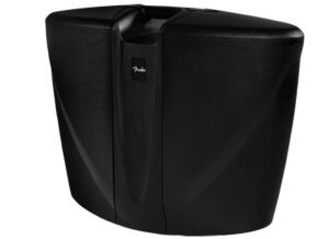 Ремонт FENDER PASSPORT® VENUE