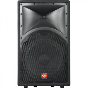 Ремонт CERWIN-VEGA INT-152V2
