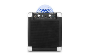 Ремонт ION AUDIO HOUSE PARTY