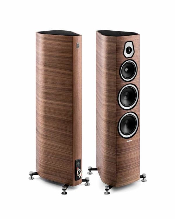 Ремонт напольной акустики Sonus Faber Sonetto III