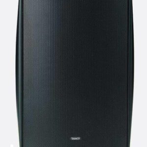 Ремонт всепогодной акустики Tannoy DVS 6