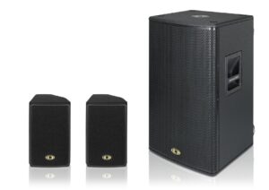 Ремонт акустической системы DYNACORD D LITE ACTIVEONE