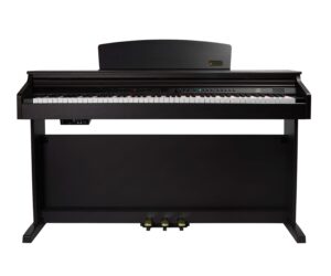 Ремонт цифровых пианино ARTESIA DP 10 E ROSEWOOD