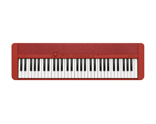 Ремонт цифровых пианино CASIO CT S 1 RD