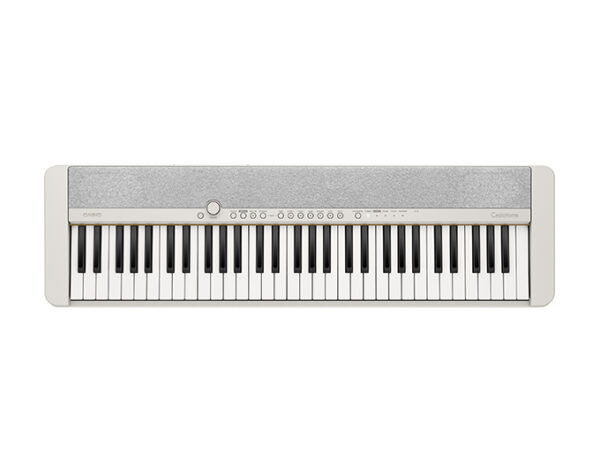 Ремонт цифровых пианино CASIO CT S 1 WECASIO CT S 1 WE