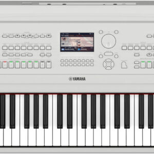 Ремонт цифровых пианино YAMAHA DGX 670 WH