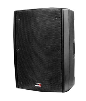Pемонт акустических систем BIEMA B 2 115 power