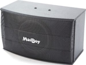 Pемонт акустических систем Madboy SCREAMER 310
