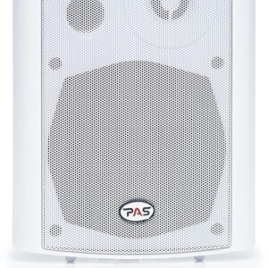 Pемонт акустических систем PASystem EVA 30 W