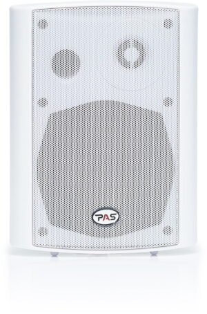 Pемонт акустических систем PASystem EVA 30 W
