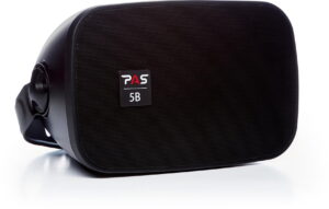 Pемонт акустических систем PASystem SONIC 5 B